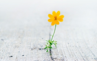 Cause marketing: how your brand can stand out, inspire action and make a difference