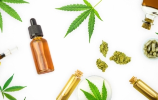 Why Your Cannabis Business Needs a Blog