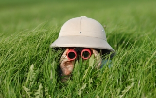 How to Maximize Your Business’ Instagram Discoverability