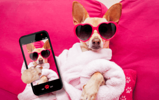 How to Determine Whether a Social Media Influencer is Effective