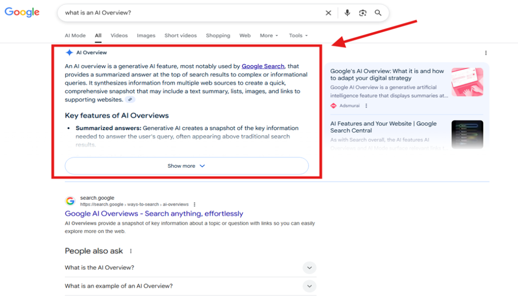 Example of a Google AI Overview result